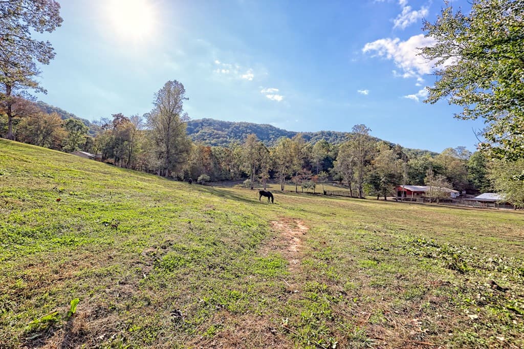 1306 Hot House Road, Hayesville NC 28904 - Photo