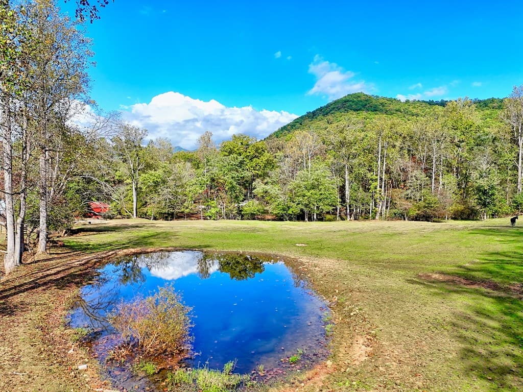 1306 Hot House Road, Hayesville NC 28904 - Photo