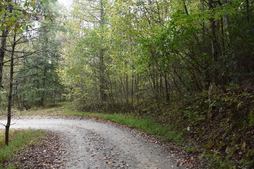 361 River Cove, Hayesville NC 28904 - Photo