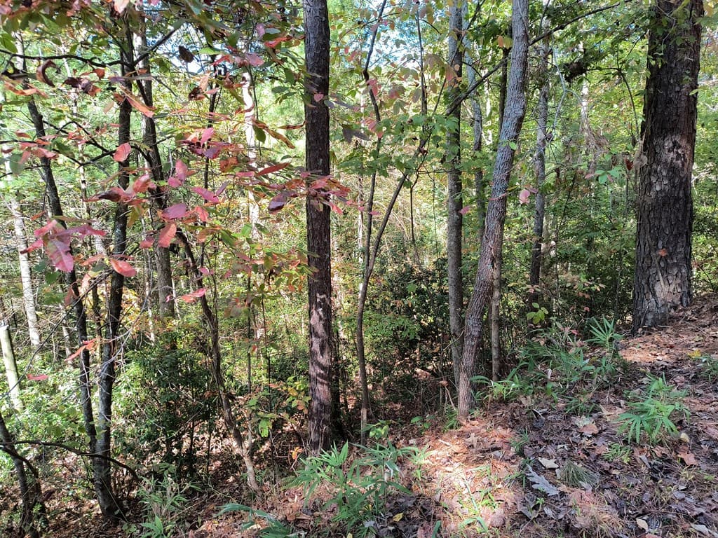 Lot 334 Cold Stream Court, Ellijay GA 30540 - Photo
