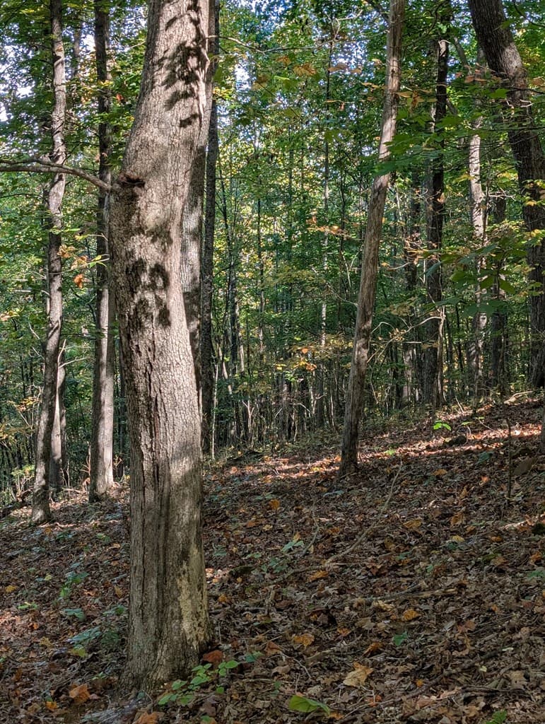 LOT 30 Rocky Knob Drive, Young Harris GA 30582 - Photo