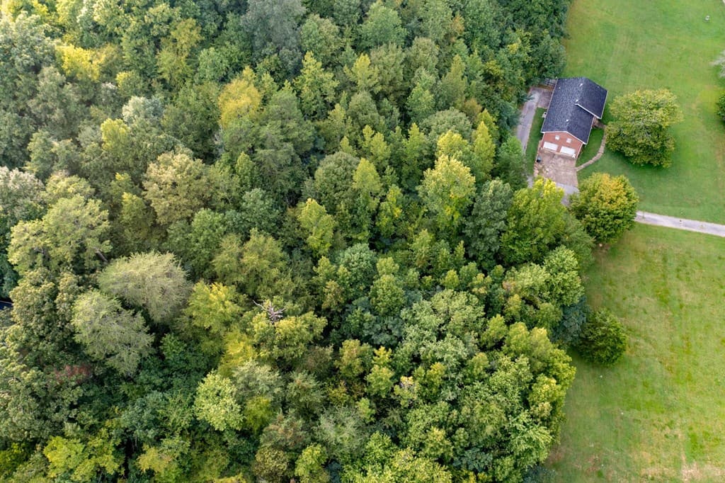 1161 Mountain Creek Road, Chattanooga TN 37405 - Photo