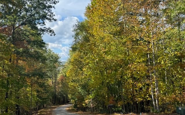 Lt 56,57 Hemlock Heights, Suches GA 30572 - Photo
