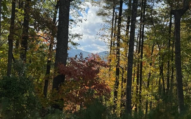 Lt 56,57 Hemlock Heights, Suches GA 30572 - Photo