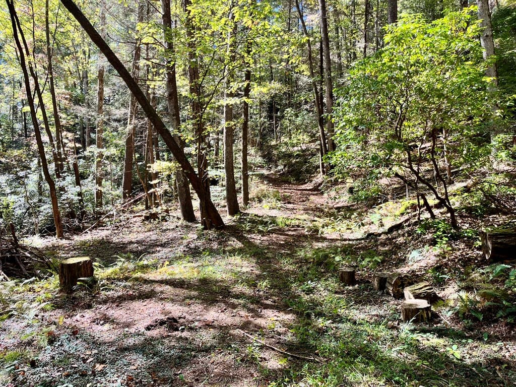 12.64 AC Harrison Sluder Road, Ellijay GA 30540 - Photo