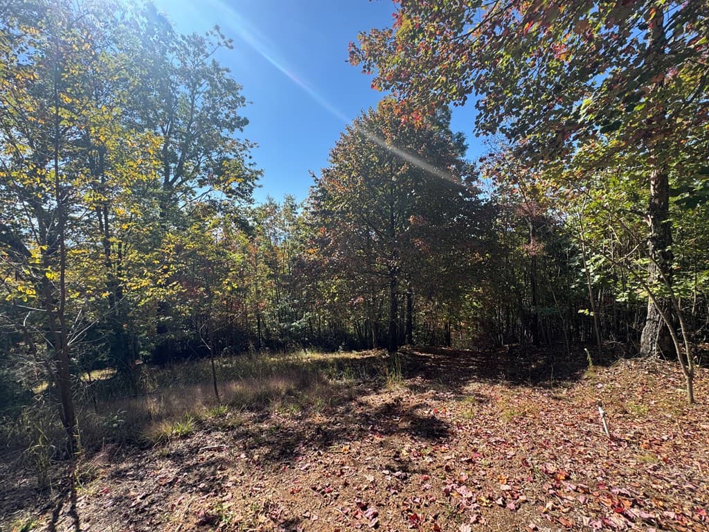 1280 E Double Knobs Drive, Hayesville NC 28904 - Photo