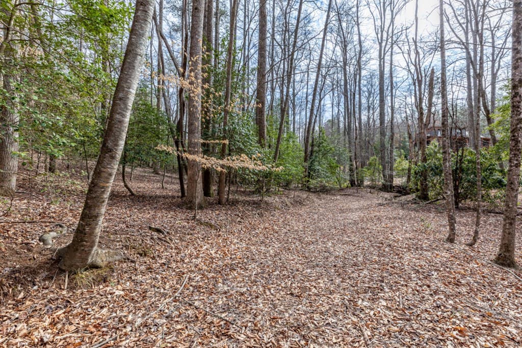 Lots 7&8 Zion Way, Blairsville GA 30512 - Photo