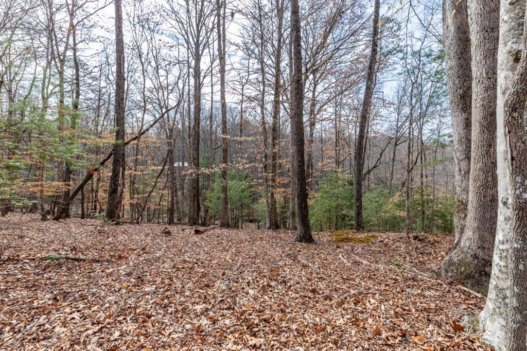 Lots 7&8 Zion Way, Blairsville GA 30512 - Photo
