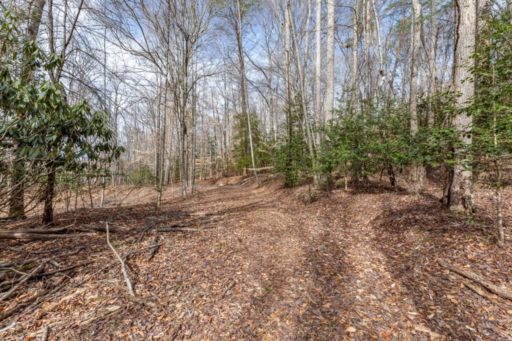 Lots 7&8 Zion Way, Blairsville GA 30512 - Photo