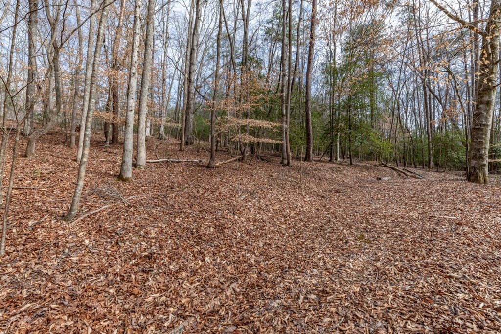 Lots 7&8 Zion Way, Blairsville GA 30512 - Photo