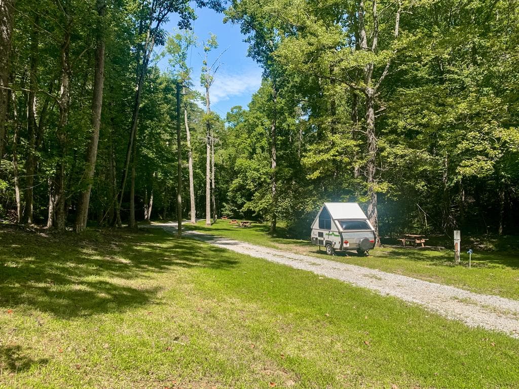 1225 Walnut Ridge, Ellijay GA 30536 - Photo