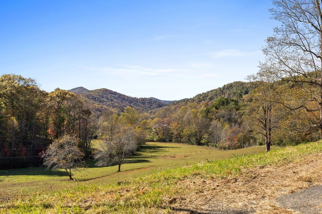 492 Johnny Gap Road, Suches GA 30572 - Photo