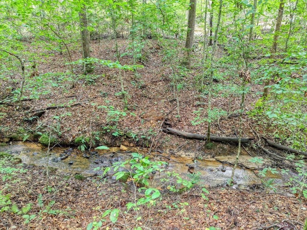 2479 Plum Orchard Road, Clayton GA 30525 - Photo