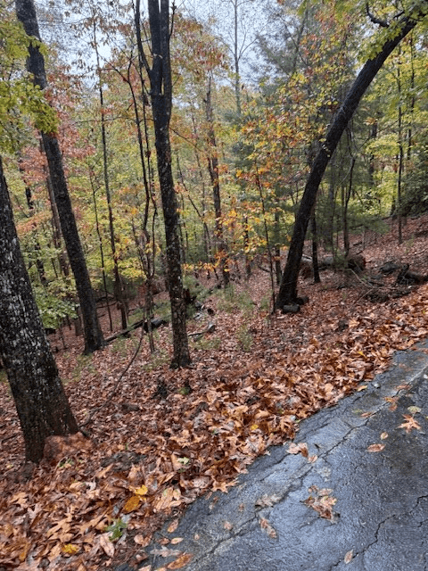 LT 264 Zenith Trail, Ellijay GA 30540 - Photo