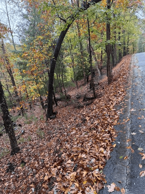 LT 264 Zenith Trail, Ellijay GA 30540 - Photo