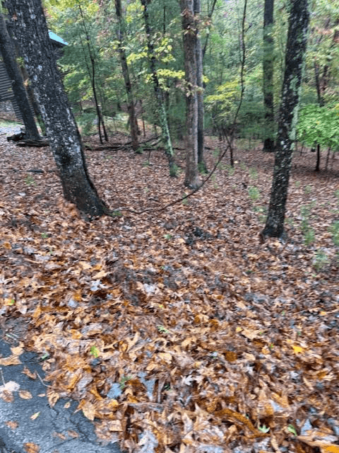 LT 264 Zenith Trail, Ellijay GA 30540 - Primary photo