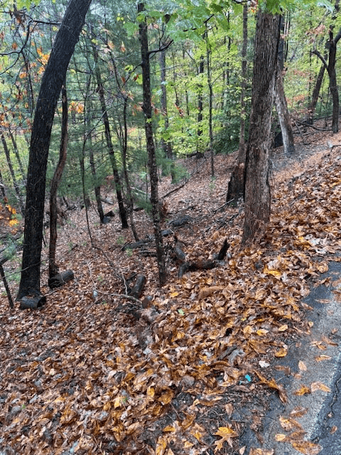 LT 264 Zenith Trail, Ellijay GA 30540 - Photo