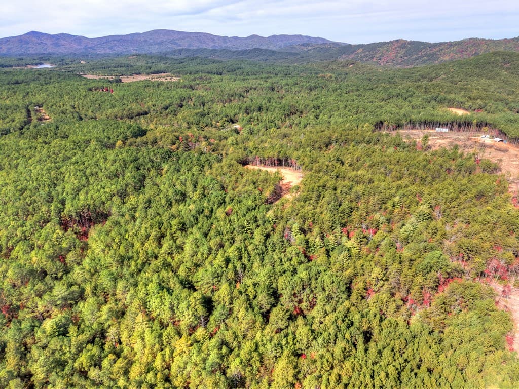 29.40 Ac Bethlehem Road, Copperhill TN 37317 - Photo