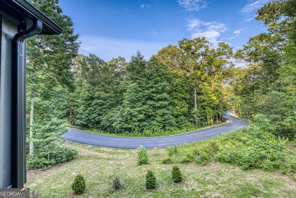 284 Lees Ride, Mccaysville GA 30555 - Photo