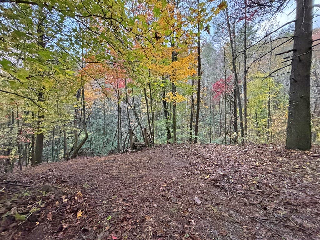 137 Faircloth Drive, Blue Ridge GA 30513 - Photo
