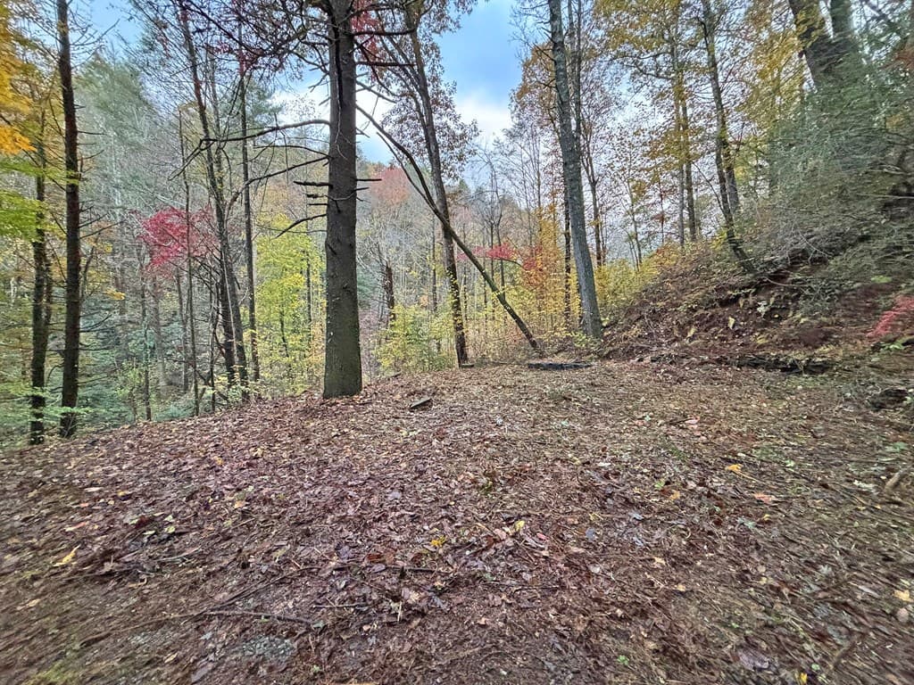 137 Faircloth Drive, Blue Ridge GA 30513 - Photo