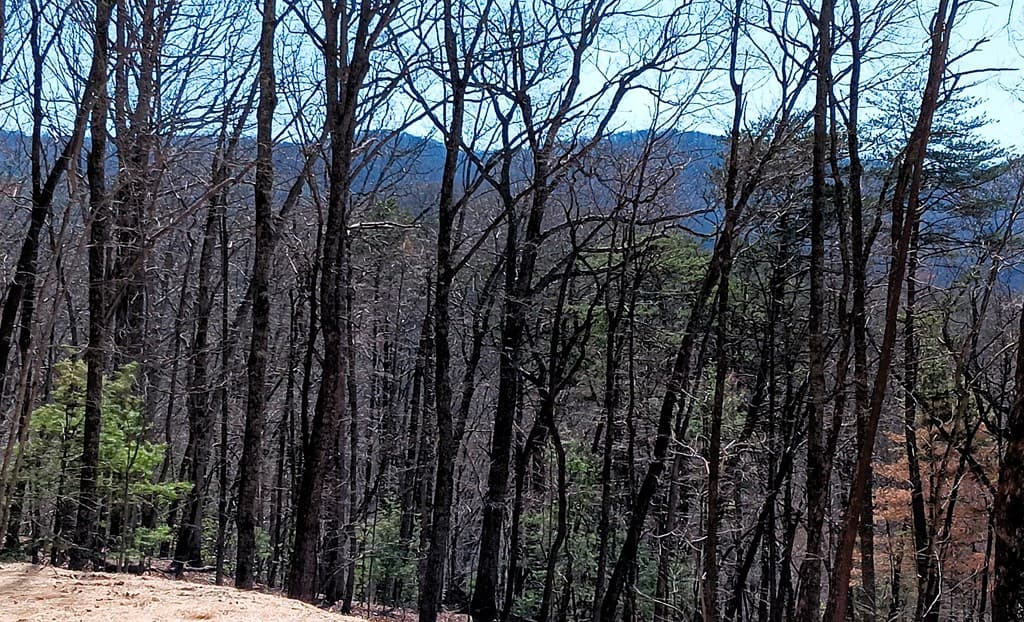 Lot 1A Colbert Mountain Road, Blue Ridge GA 30513 - Photo