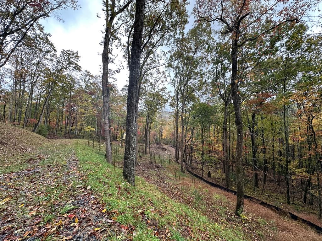 Lot 1A Colbert Mountain Road, Blue Ridge GA 30513 - Photo