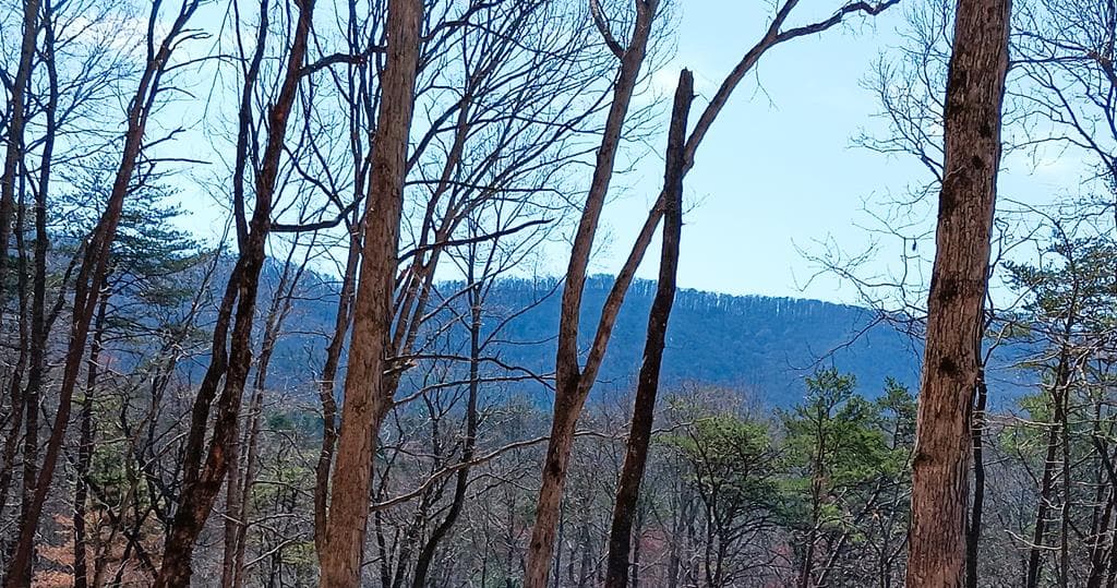 Lot 1A Colbert Mountain Road, Blue Ridge GA 30513 - Primary photo