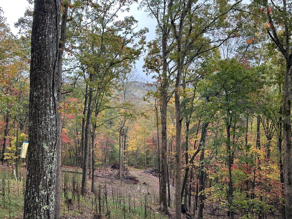 Lot 1A Colbert Mountain Road, Blue Ridge GA 30513 - Photo