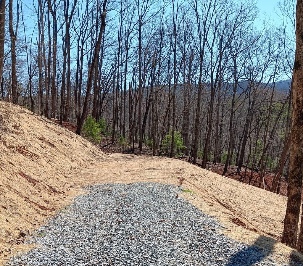 Lot 1A Colbert Mountain Road, Blue Ridge GA 30513 - Photo