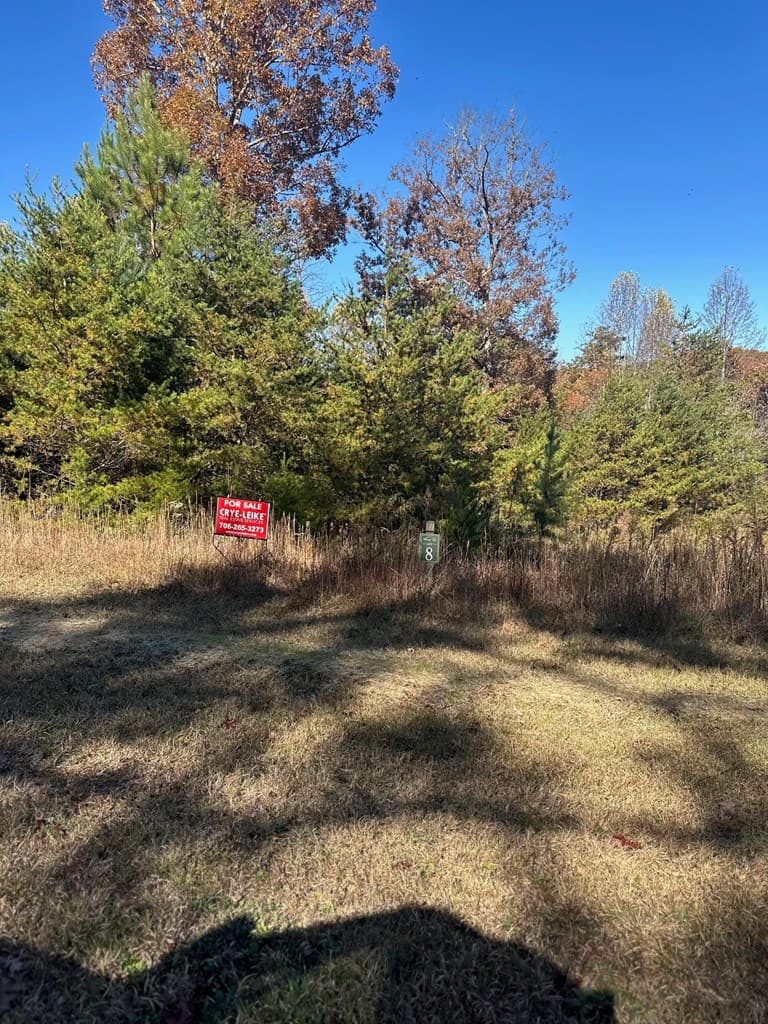 08 Courtney Ln Lot 8, Blairsville GA 30512 - Photo