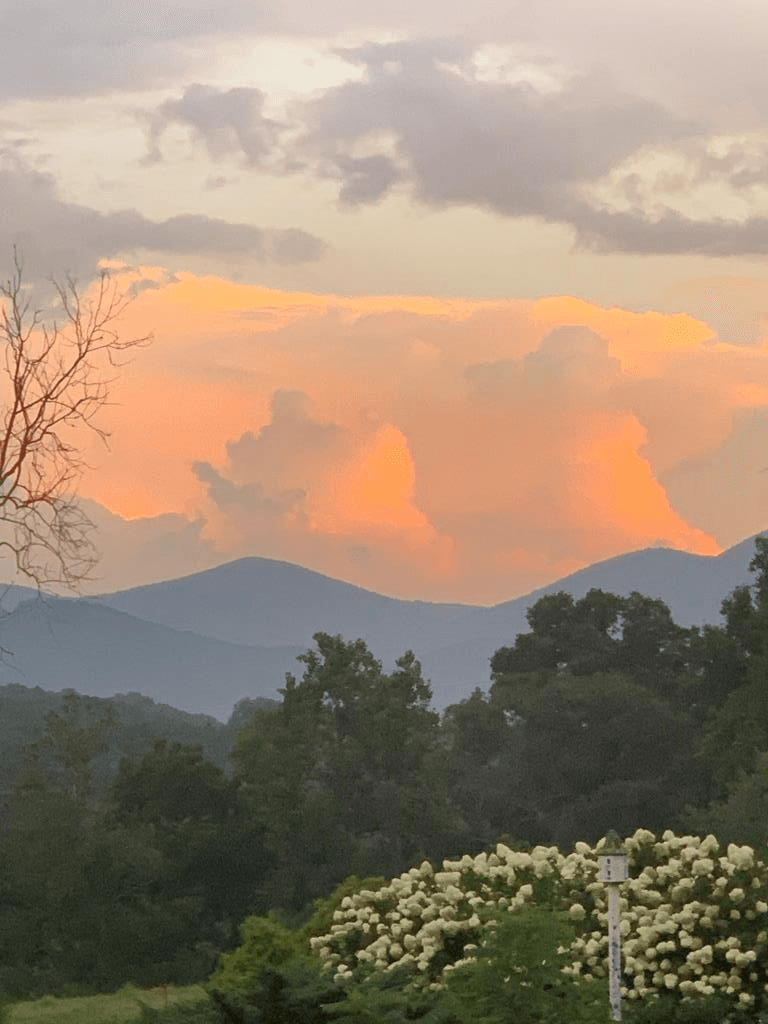208 Rich Drive, Blairsville GA 30512 - Photo