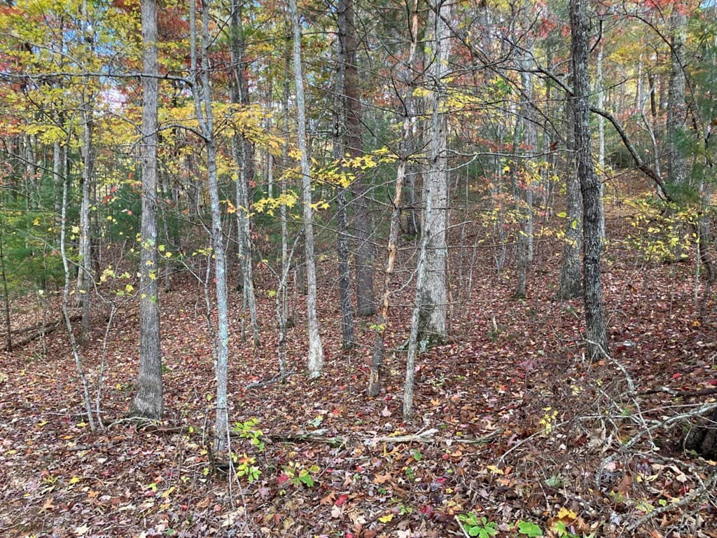 39 Acres Hedden Stiles Road, Murphy NC 28906 - Photo