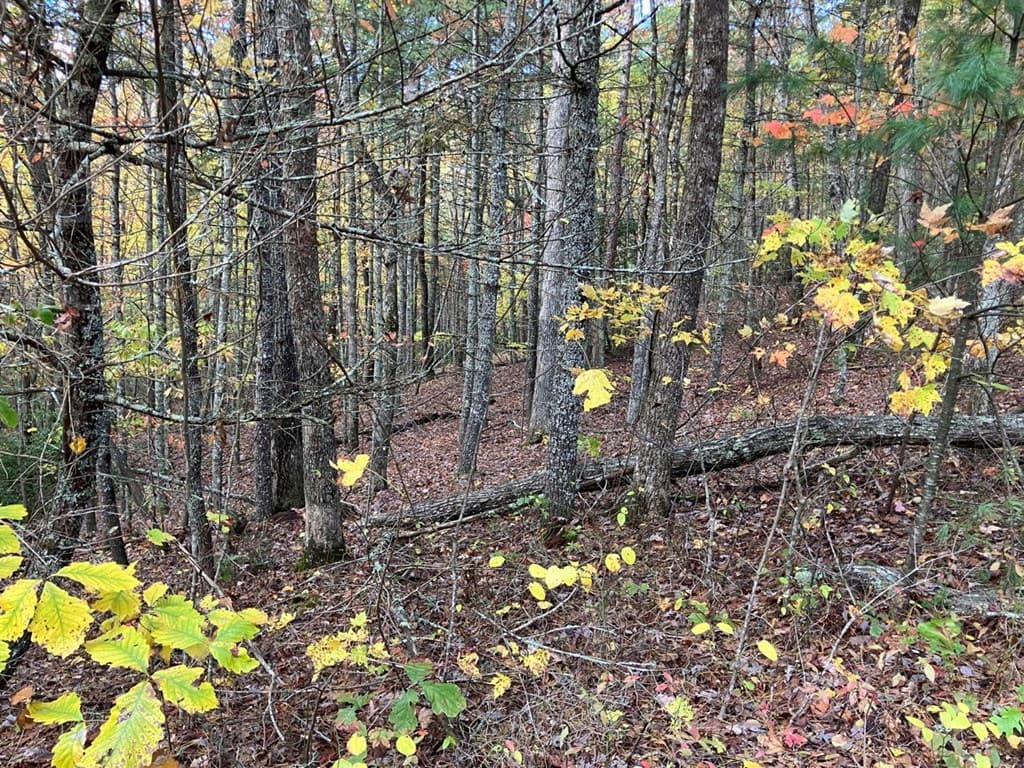 39 Acres Hedden Stiles Road, Murphy NC 28906 - Photo