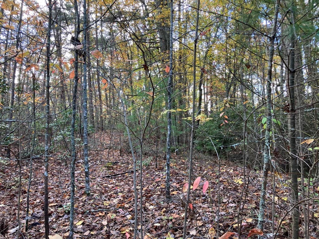 39 Acres Hedden Stiles Road, Murphy NC 28906 - Photo