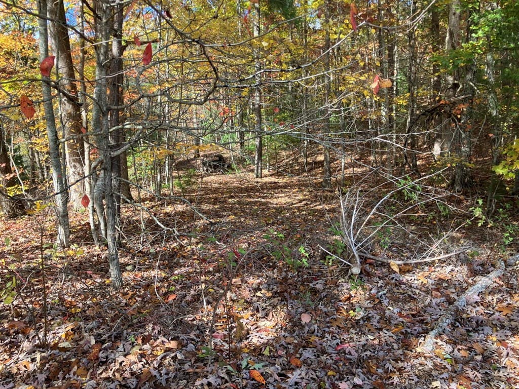 39 Acres Hedden Stiles Road, Murphy NC 28906 - Photo