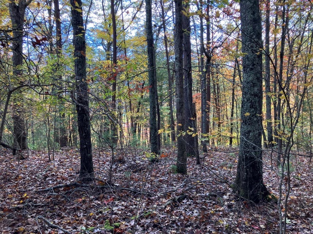 39 Acres Hedden Stiles Road, Murphy NC 28906 - Photo