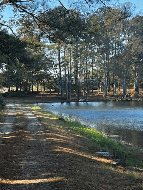 1966 Hwy 142 E, Covington GA 30014 - Photo