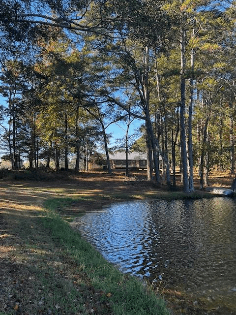 1966 Hwy 142 E, Covington GA 30014 - Photo