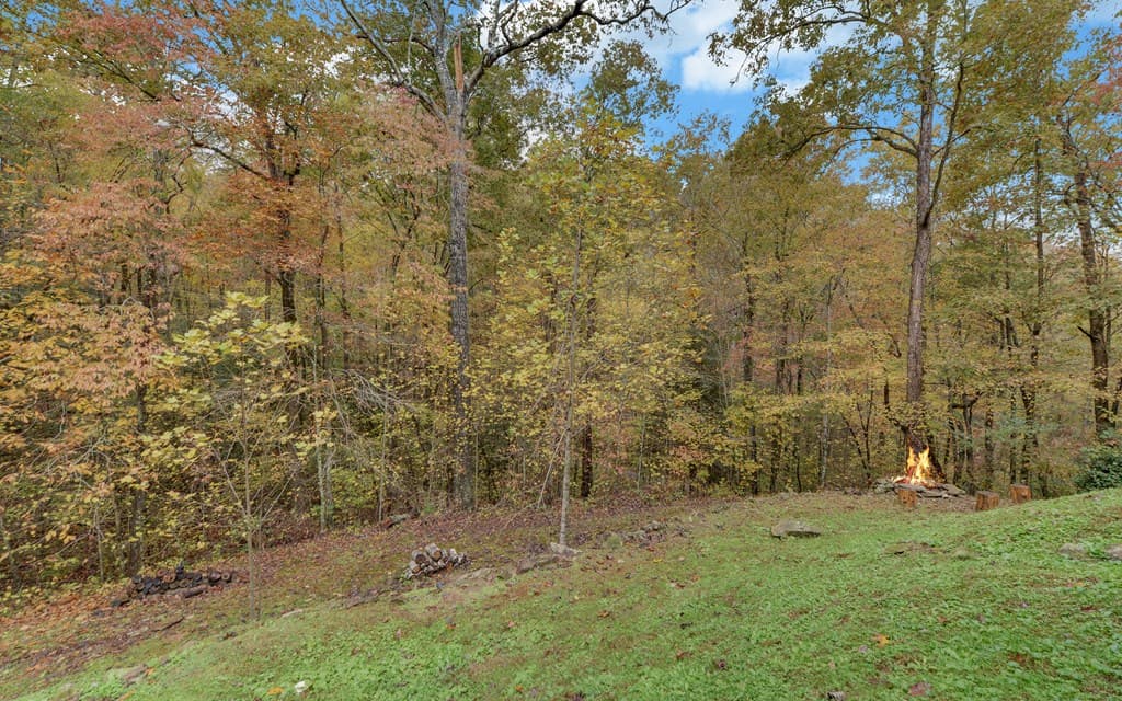 169 Wildwood Court, Ellijay GA 30540 - Photo