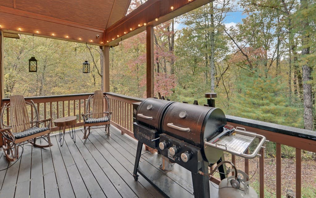 169 Wildwood Court, Ellijay GA 30540 - Photo