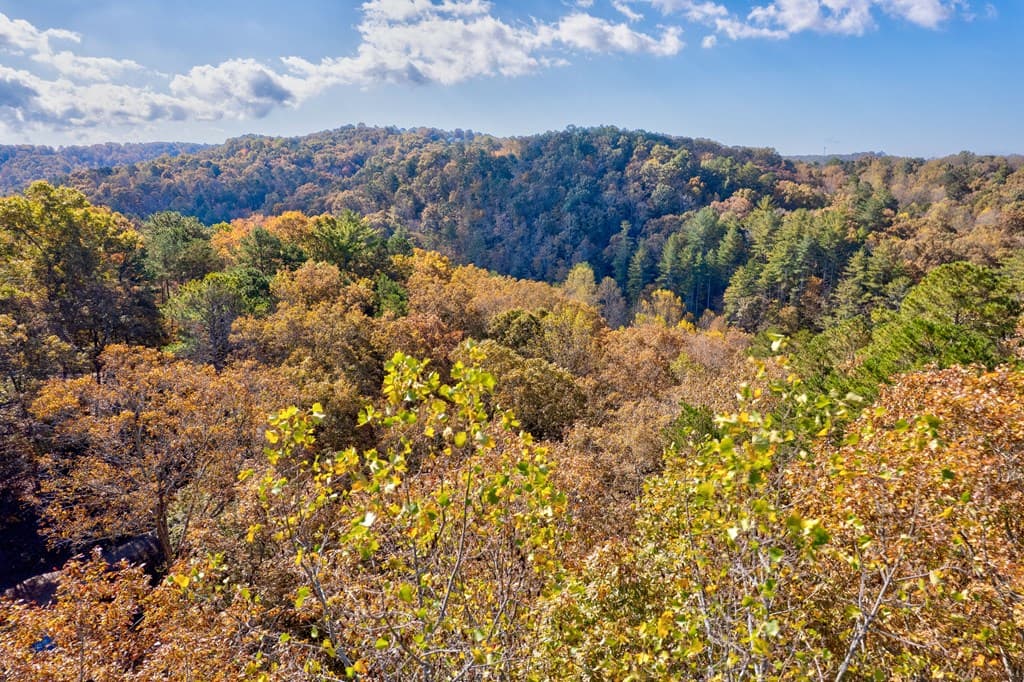 1.14 AC Parker Way, Ellijay GA 30540 - Photo