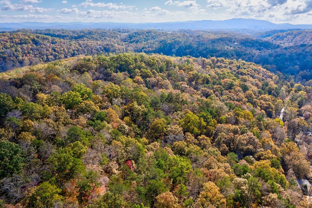 1.14 AC Parker Way, Ellijay GA 30540 - Photo