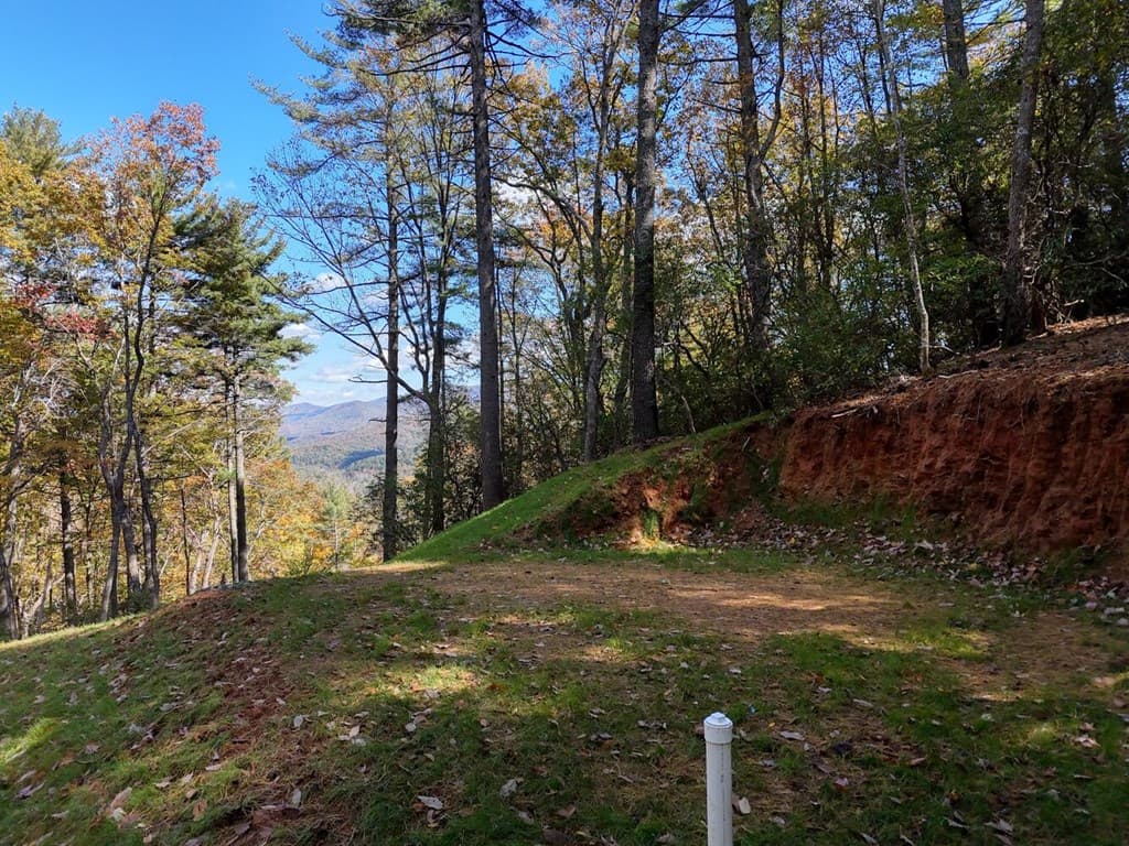 Lot 8 Cindy Cove, Blairsville GA 30512 - Photo