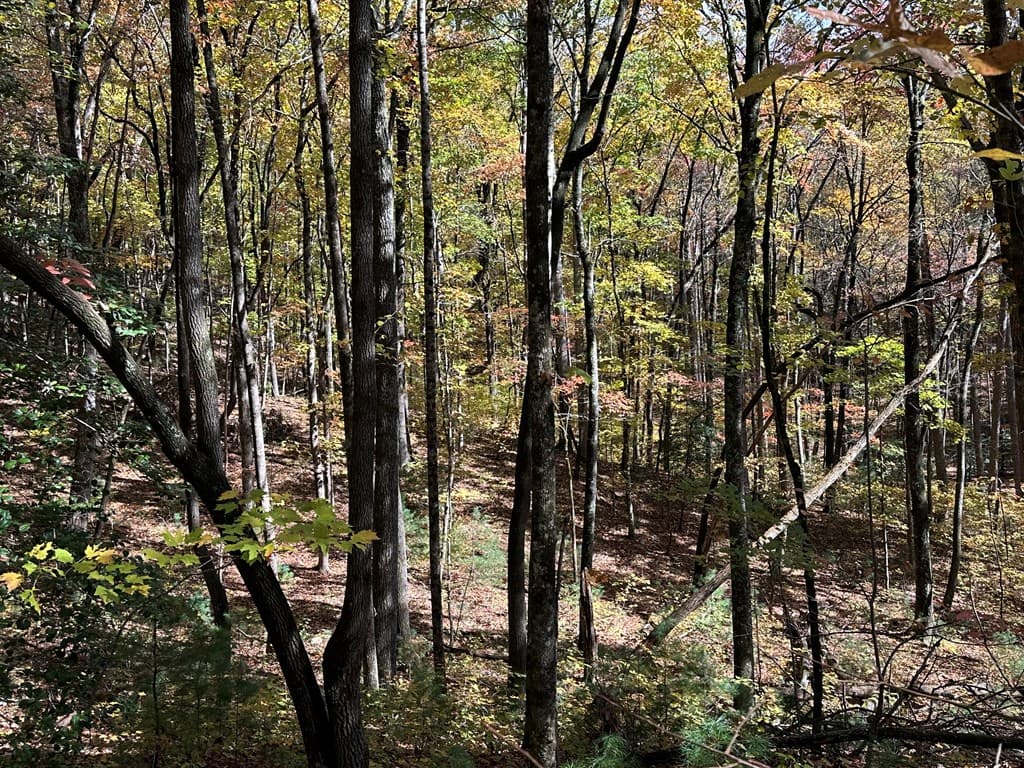 00 Stover Creek, Blue Ridge GA 30513 - Photo