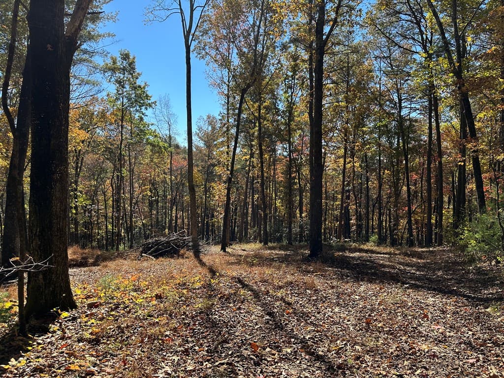 00 Stover Creek, Blue Ridge GA 30513 - Photo