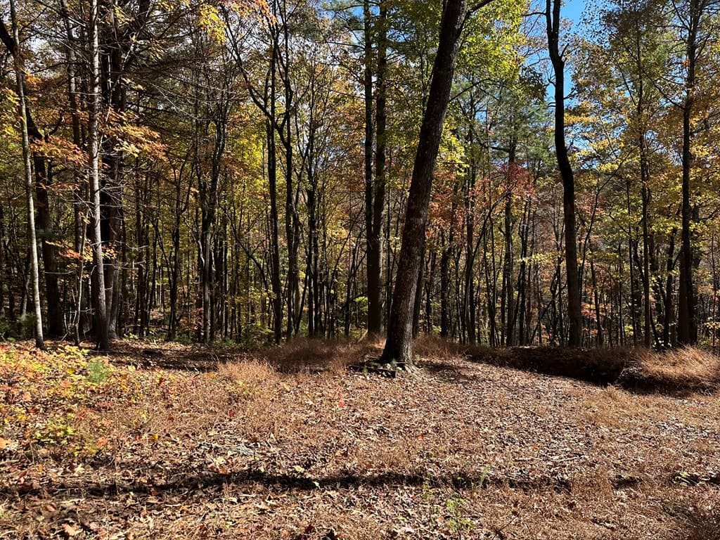 00 Stover Creek, Blue Ridge GA 30513 - Photo