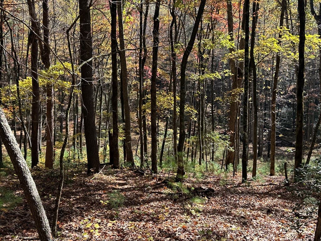 00 Stover Creek, Blue Ridge GA 30513 - Photo