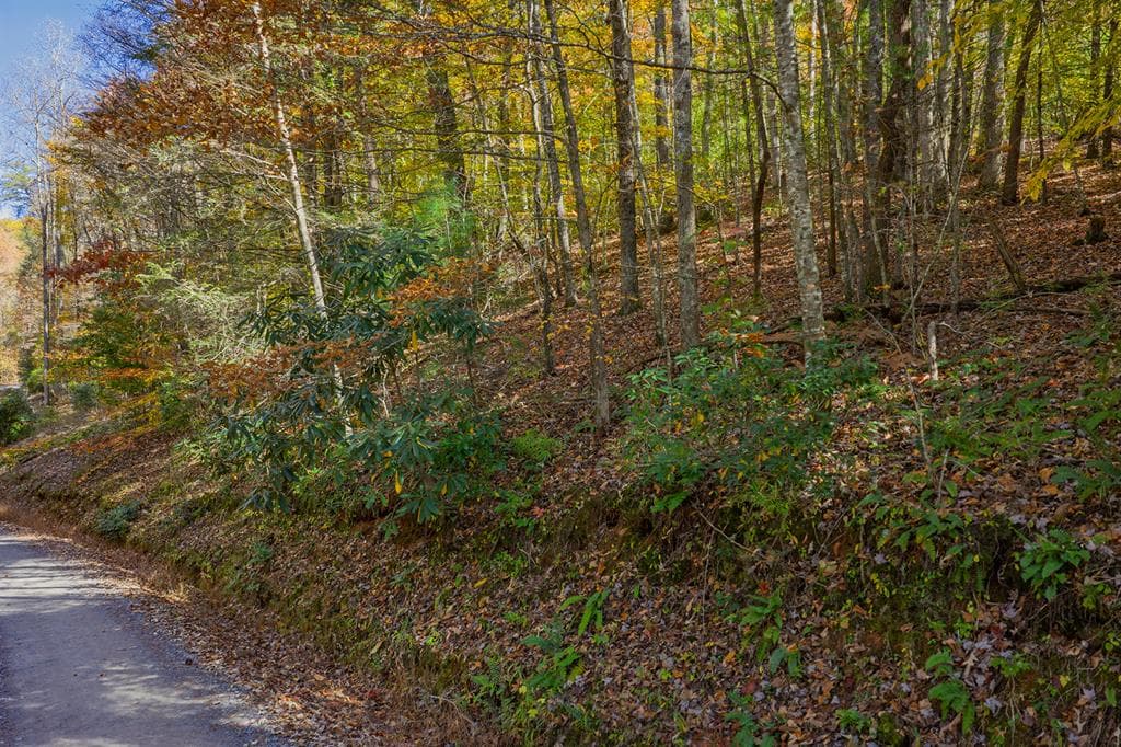 N/A Willard Mountain Road, Ellijay GA 30513 - Photo