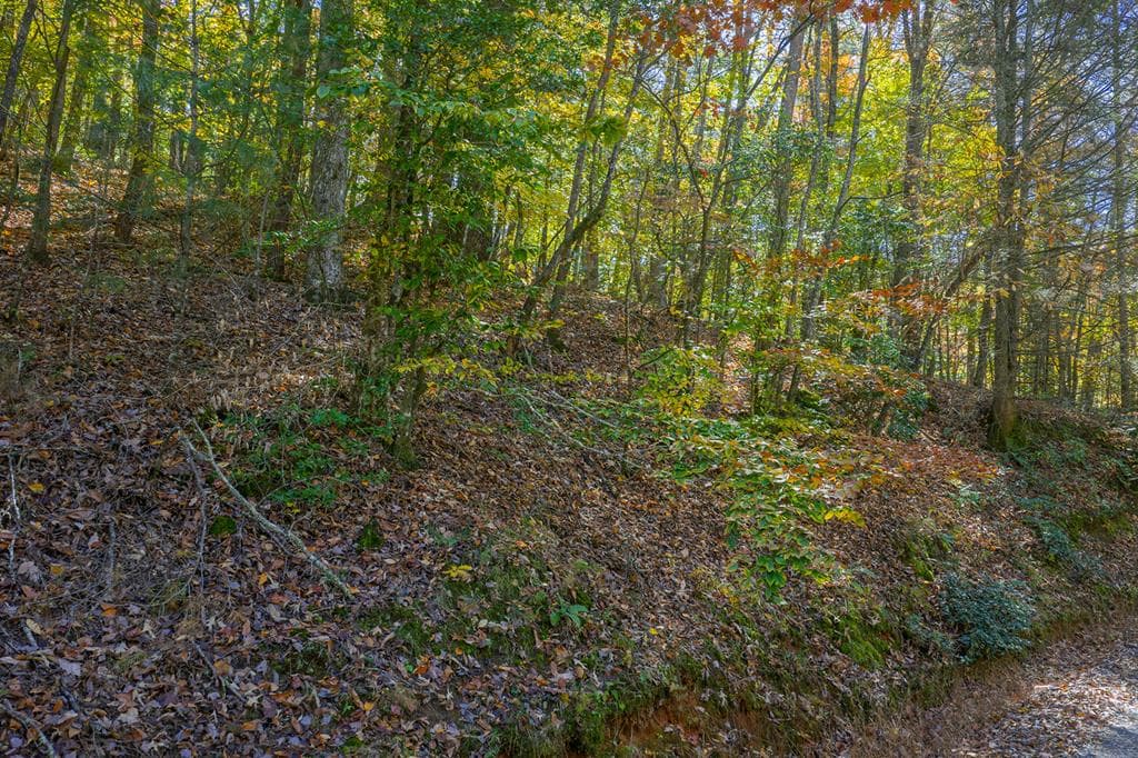 N/A Willard Mountain Road, Ellijay GA 30513 - Photo